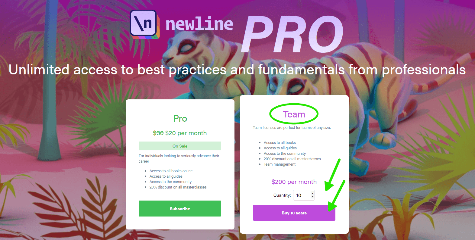 📣Announcing \newline Pro Team Packages: Elevate Your Team's Learning Experience Now!